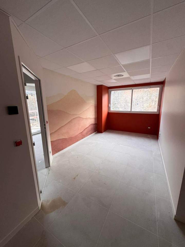 Peintre professionnel Sevrier